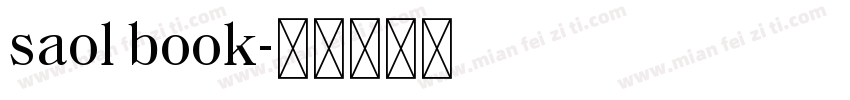 saol book字体转换